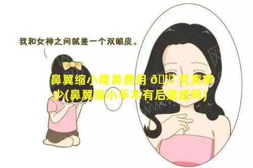 鼻翼缩小隆鼻费用 🦅 究竟多少(鼻翼缩小手术有后遗症吗)